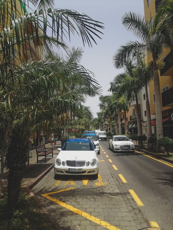 services-05 Street view in Puerto de la Cruz, Spain, featuring palm trees and parked cars under a clear sky.